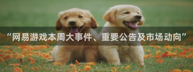 奇亿娱乐注册账号：“网易游戏本周大事件、重要公告及市场动向”