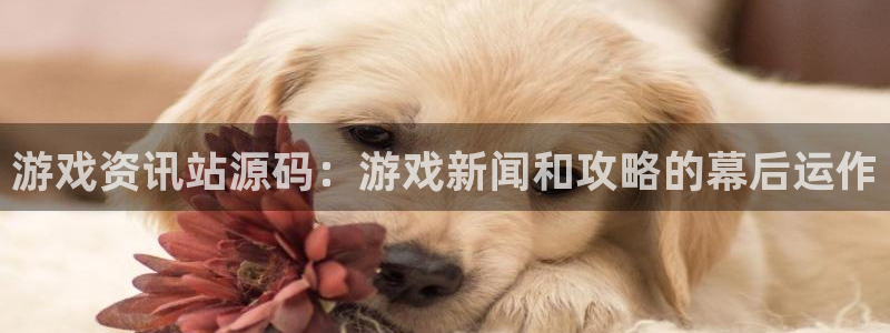 奇亿娱乐测速登陆：游戏资讯站源码：游戏新闻和攻略的幕后运作
