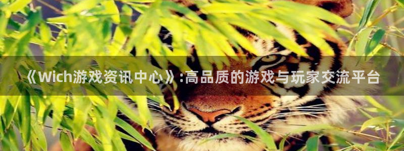 奇亿娱乐app
