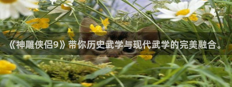 奇亿娱乐网页登录入口下载：《神雕侠侣9》带你历史武学与现代武