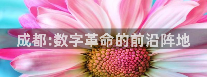 奇亿娱乐集团：成都:数字革命的前沿阵地